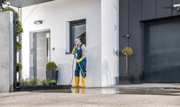 Best Gutter Cleaning  in Shadeland, IN